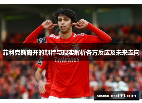 菲利克斯离开的期待与现实解析各方反应及未来走向